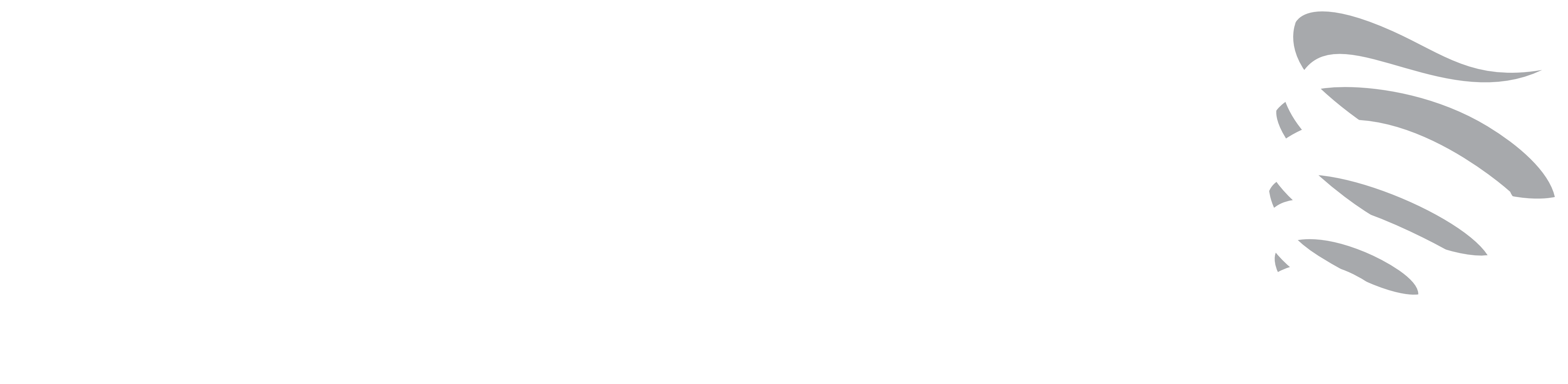 Wind Telecom